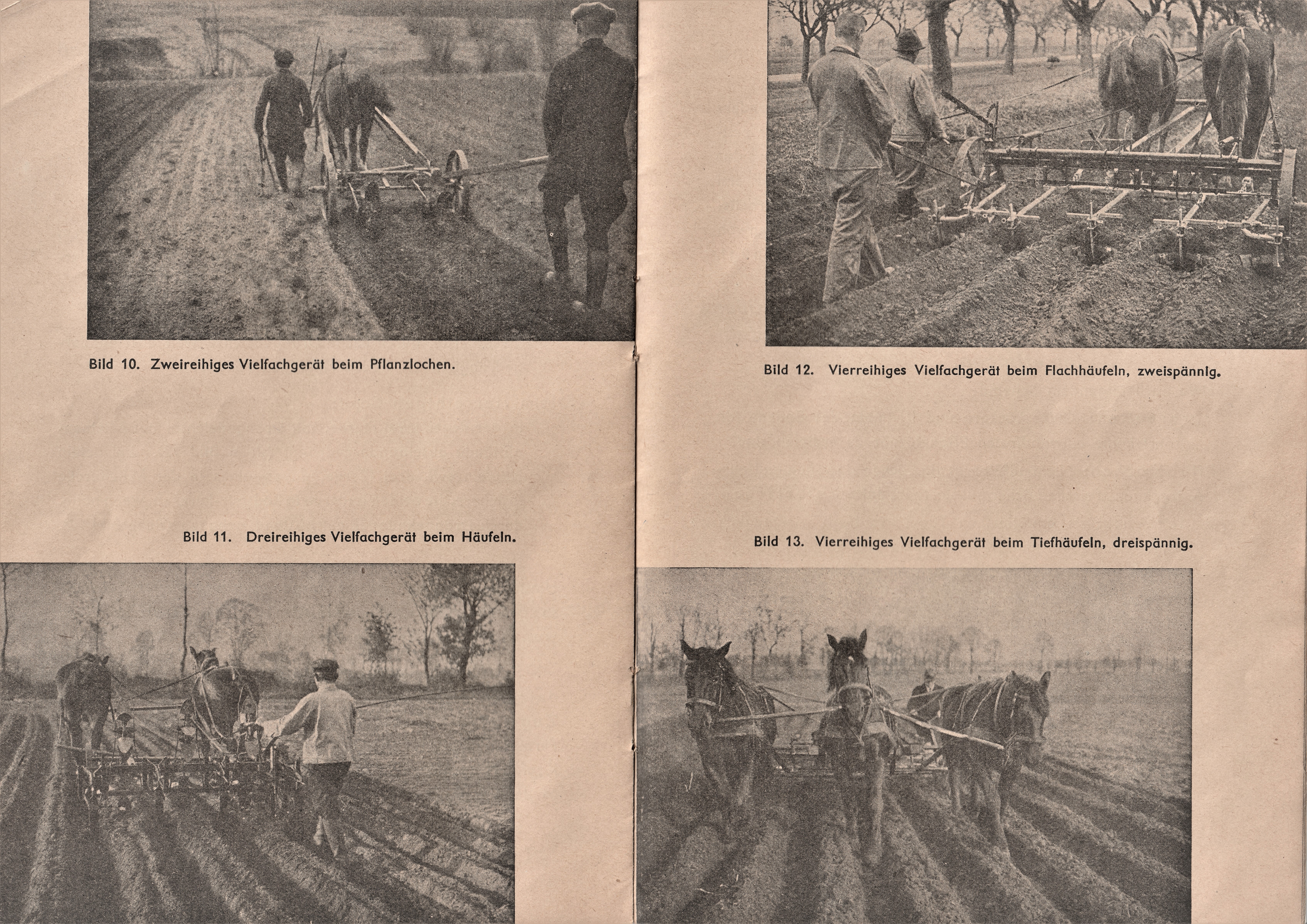 Pflanzlochen und Häufeln Anfang der 30iger Jahre